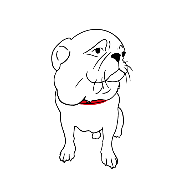 Illustration von Hund Chicco