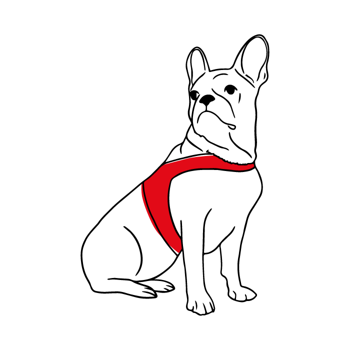 Illustration von Hund Roxy