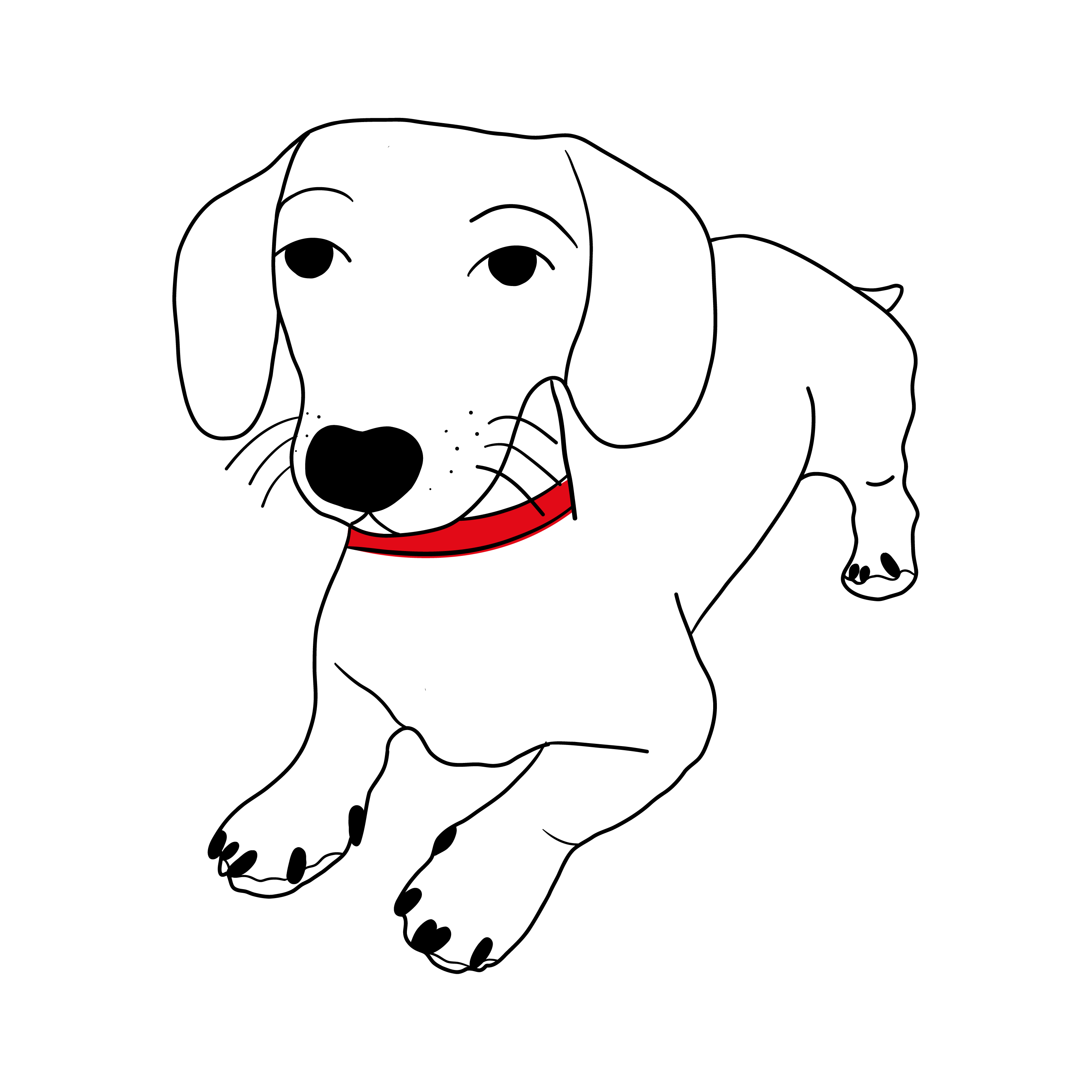 Illustration von Hund Elsa